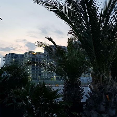 The Horse - De Silva Residence Mamaia Dış mekan fotoğraf